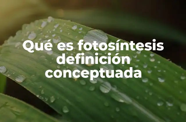 Qué es Fotosíntesis Definición Conceptuada
