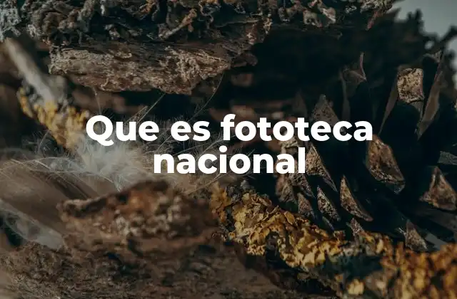 Que es Fototeca Nacional
