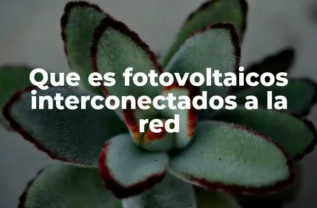 Que es Fotovoltaicos Interconectados a la Red 2 Cómo funcionan los sistemas conectados a la red