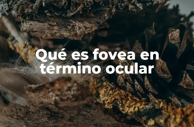 Qué es Fovea en Término Ocular