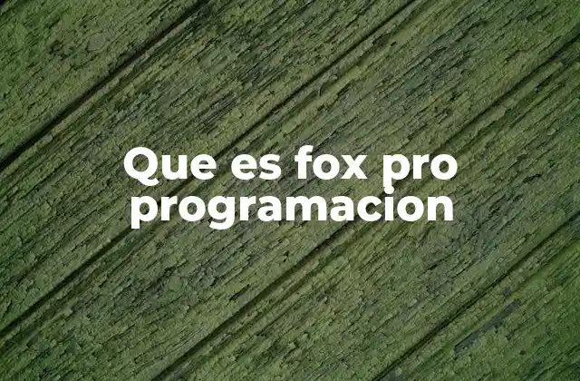 Que es Fox Pro Programacion