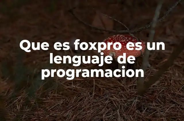 Que es Foxpro es un Lenguaje de Programacion