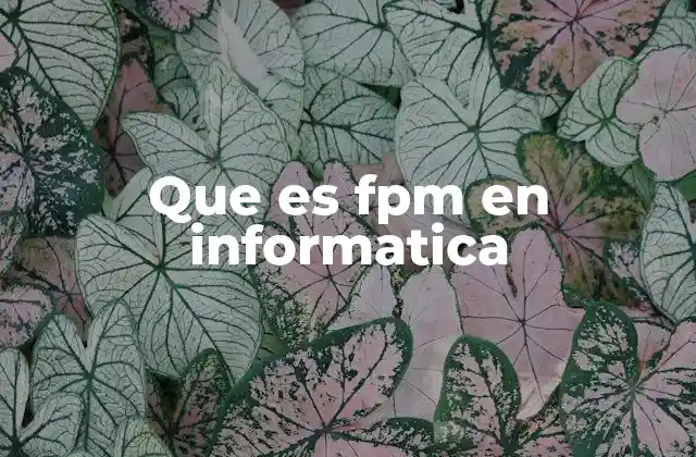 Que es Fpm en Informatica