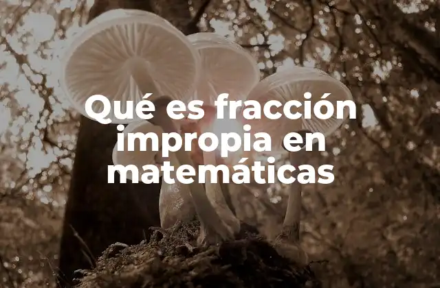 Qué es Fracción Impropia en Matemáticas