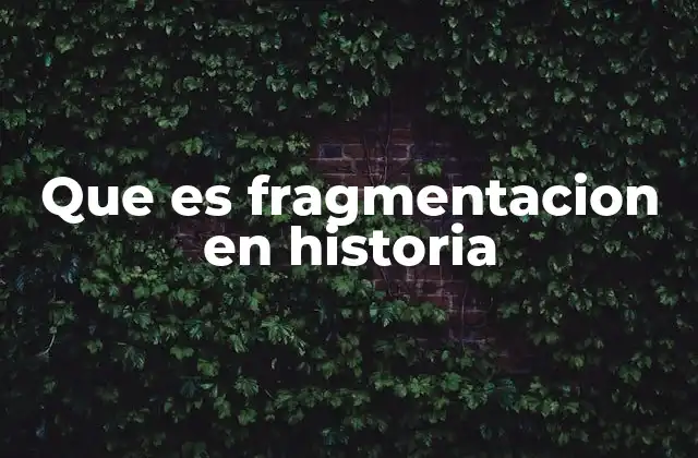 Que es Fragmentacion en Historia