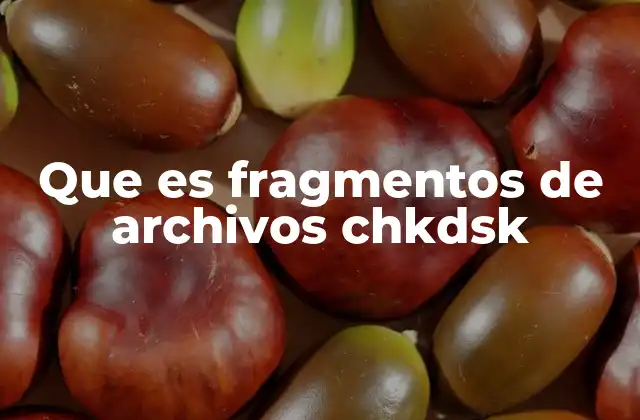 Que es Fragmentos de Archivos Chkdsk