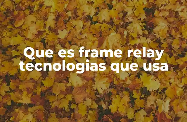 Que es Frame Relay Tecnologias que Usa