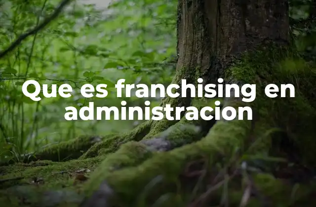 Que es Franchising en Administracion