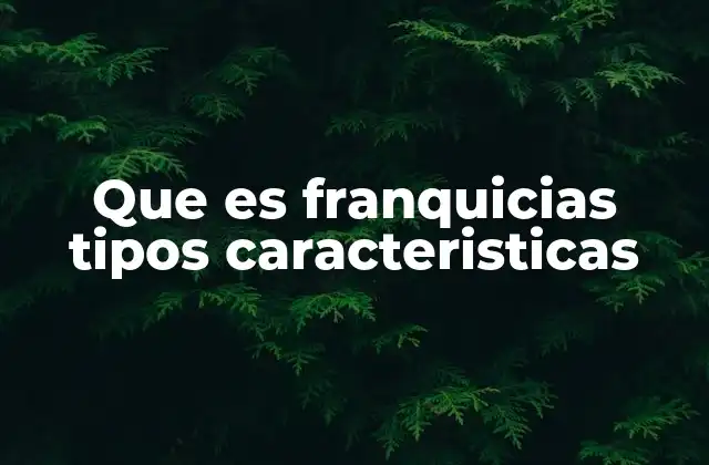 Que es Franquicias Tipos Caracteristicas