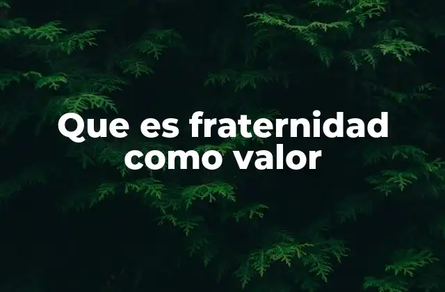 Que es Fraternidad como Valor