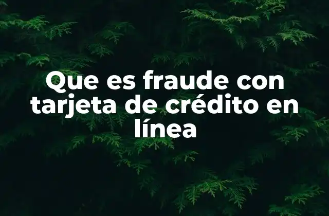 Que es Fraude con Tarjeta de Crédito en Línea