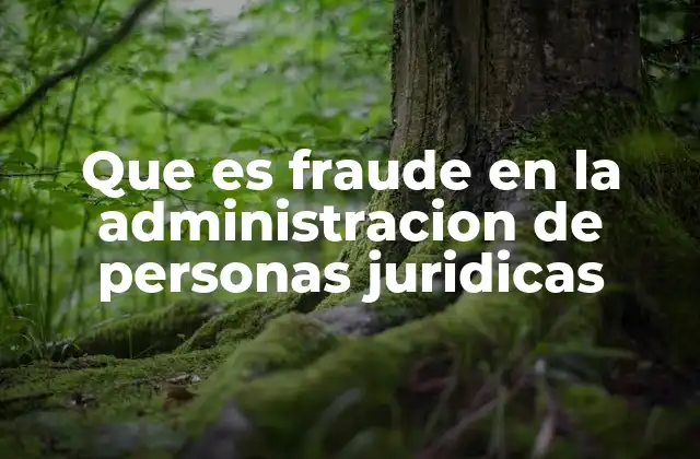 Que es Fraude en la Administracion de Personas Juridicas