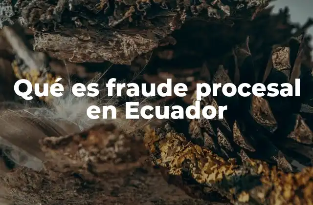 Qué es Fraude Procesal en Ecuador