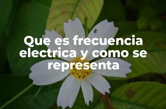Que es Frecuencia Electrica y como Se Representa