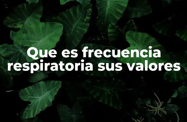Que es Frecuencia Respiratoria Sus Valores