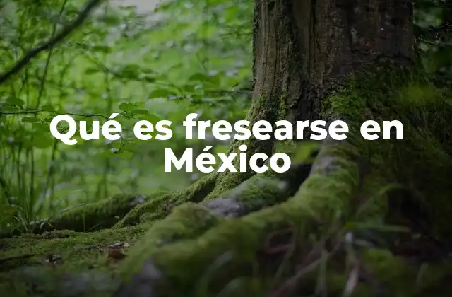 Qué es Fresearse en México