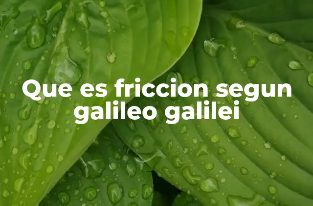 Que es Friccion Segun Galileo Galilei