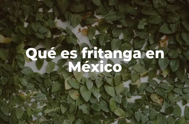 Qué es Fritanga en México