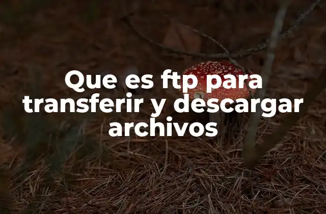 Que es Ftp para Transferir y Descargar Archivos