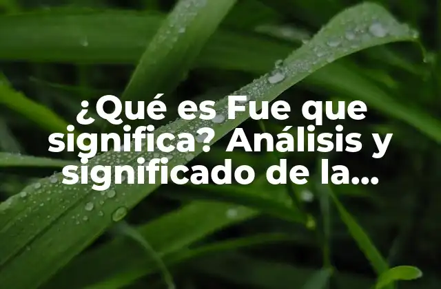 ¿qué es Fue que Significa? Análisis y Significado de la Expresión