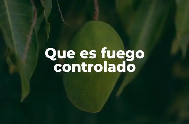 Que es Fuego Controlado