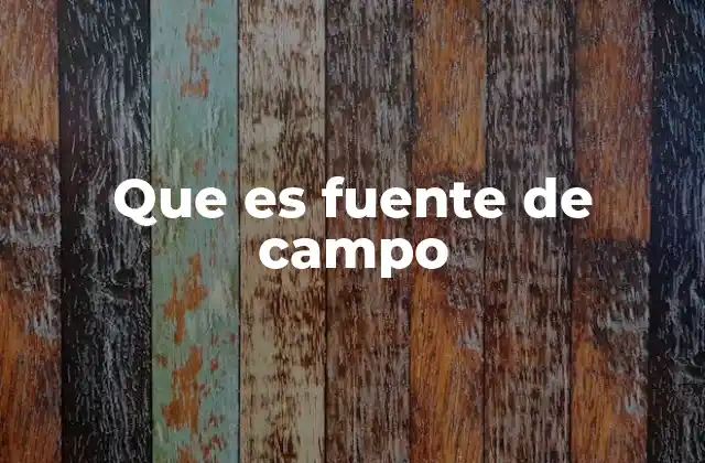 Que es Fuente de Campo