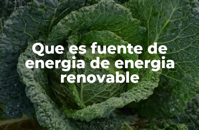 Que es Fuente de Energia de Energia Renovable