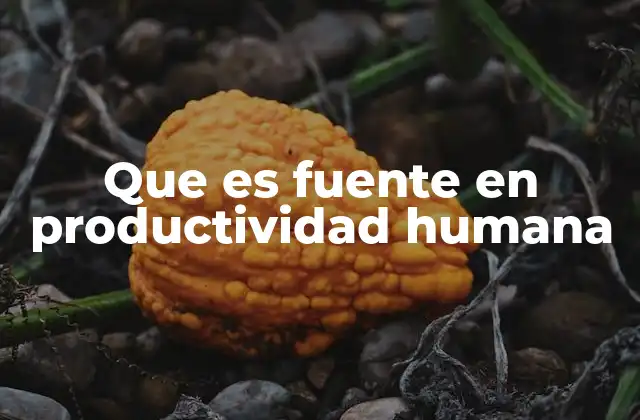 Que es Fuente en Productividad Humana