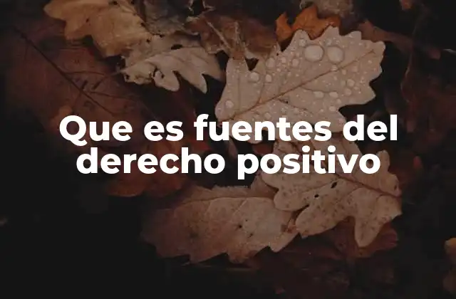Que es Fuentes Del Derecho Positivo
