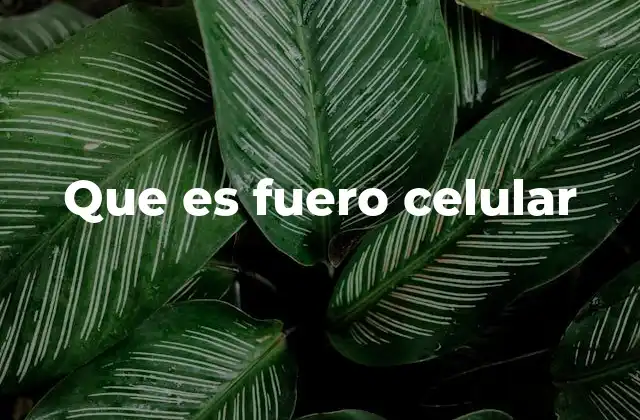 Que es Fuero Celular 2 La autonomía de las células en el organismo