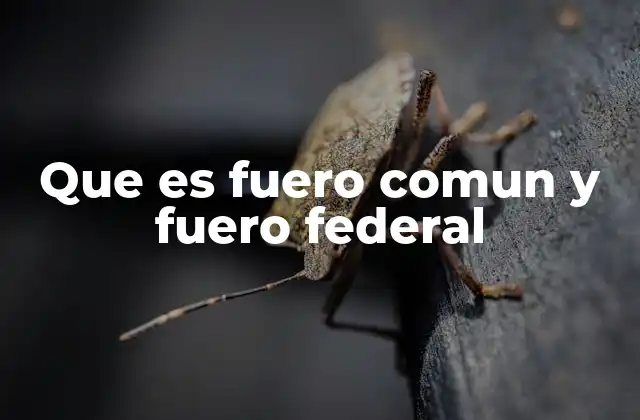 Diferencias entre los dos tipos de jurisdicción