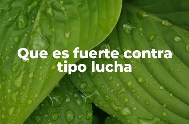 Que es Fuerte contra Tipo Lucha