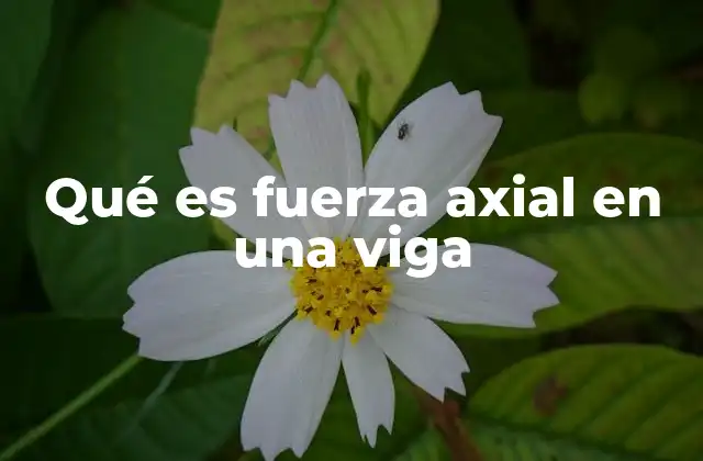 Qué es Fuerza Axial en una Viga