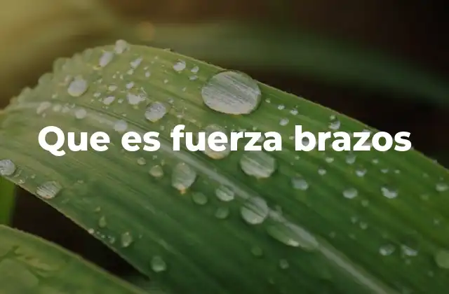 Que es Fuerza Brazos
