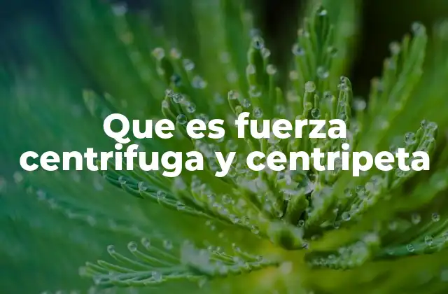 Las fuerzas en el movimiento circular