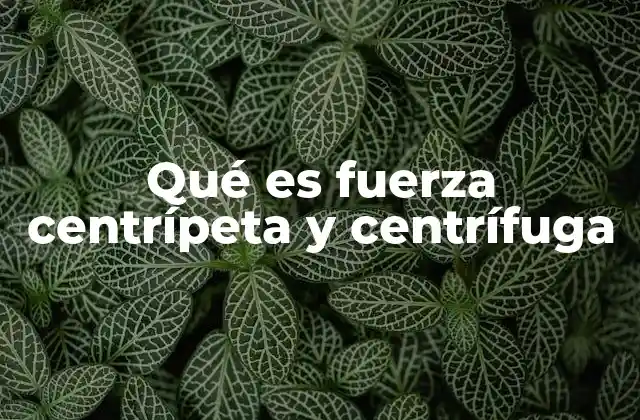 Las diferencias entre fuerza centrípeta y fuerza centrífuga