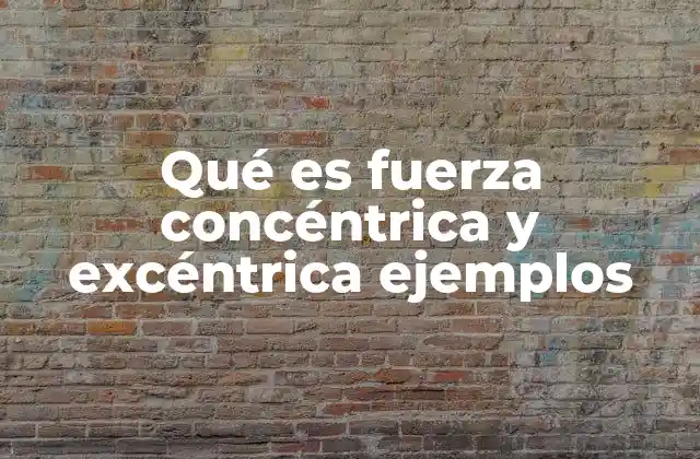 Qué es Fuerza Concéntrica y Excéntrica Ejemplos 2 Tipos de contracción muscular y su importancia