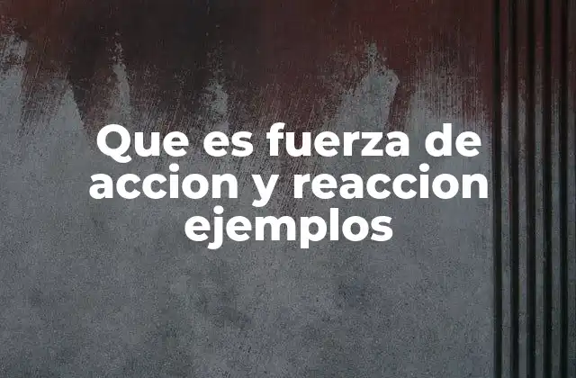 Que es Fuerza de Accion y Reaccion Ejemplos