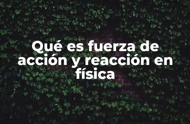 Qué es Fuerza de Acción y Reacción en Física
