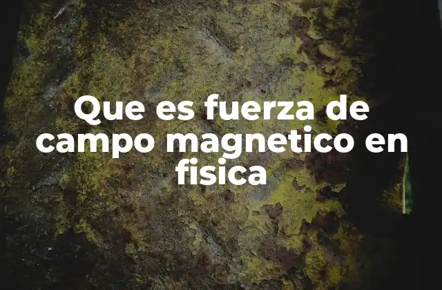 Que es Fuerza de Campo Magnetico en Fisica