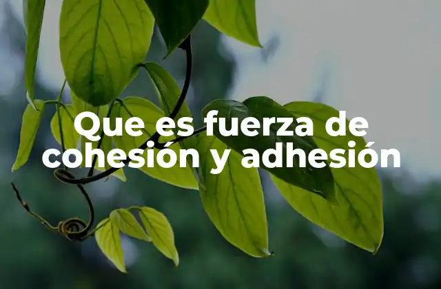 Que es Fuerza de Cohesión y Adhesión