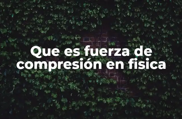 Que es Fuerza de Compresión en Fisica