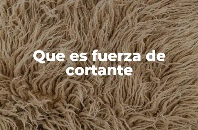 Que es Fuerza de Cortante