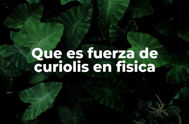 Que es Fuerza de Curiolis en Fisica