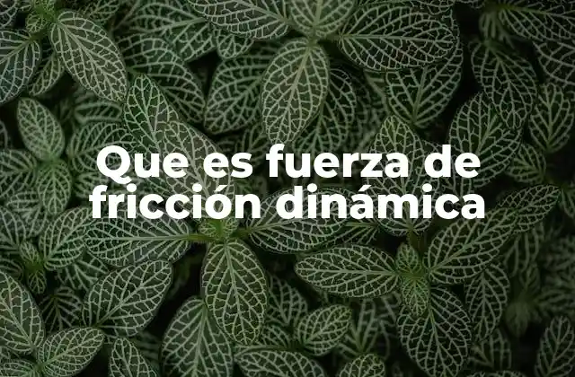 Que es Fuerza de Fricción Dinámica