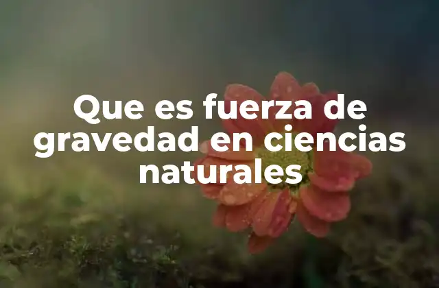 Que es Fuerza de Gravedad en Ciencias Naturales