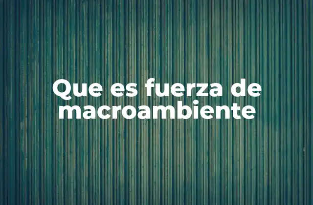 Que es Fuerza de Macroambiente 2 El papel del entorno general en la toma de decisiones empresariales