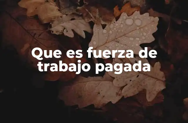 Que es Fuerza de Trabajo Pagada