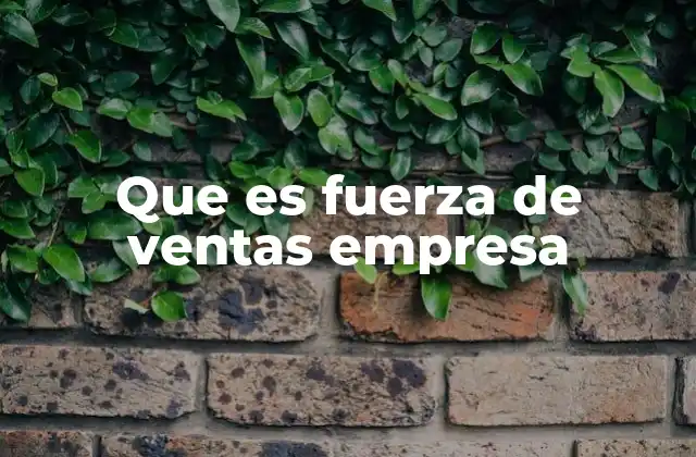 Que es Fuerza de Ventas Empresa