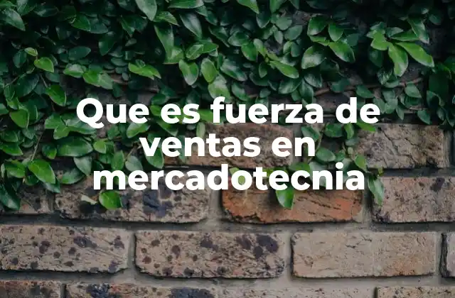 Que es Fuerza de Ventas en Mercadotecnia